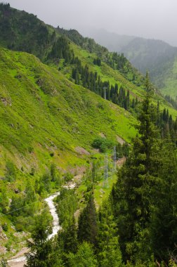 Trans-Ili Alatau Sıradağlar