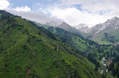 Trans-Ili Alatau Sıradağlar