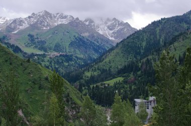 Trans-Ili Alatau Sıradağlar