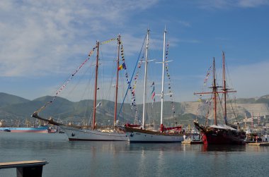 Küçük deniz Yelkenli