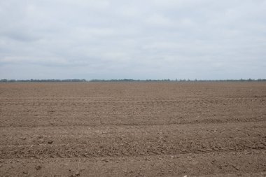 Tarlaya sürülmüş bir tarlanın üzerindeki güzel gökyüzü. Tarım endüstrisi manzarası. Tarlaya sürülmüş bir çiftlik. Gündüz ekili toprak.