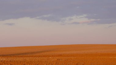 Boş bir tarla üzerinde bulutlu bir akşam gökyüzü. Parlak gün batımı manzarası.