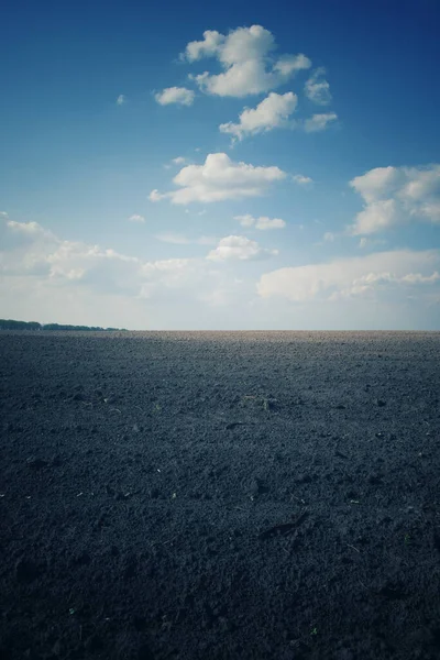 Vacker Himmel Över Ett Plogat Jordbruksfält Lantbrukslandskap Ett Plogat Åkerfält — Stockfoto