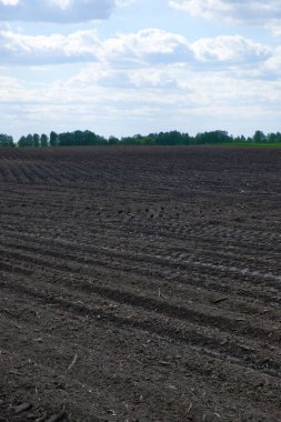 Tarlaya sürülmüş bir tarla. Mavi gökyüzünde güzel bulutlar. Tarım alanı, manzara.