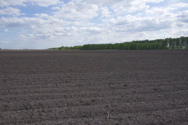 Tarlaya sürülmüş bir tarla. Mavi gökyüzünde güzel bulutlar. Tarım alanı, manzara.
