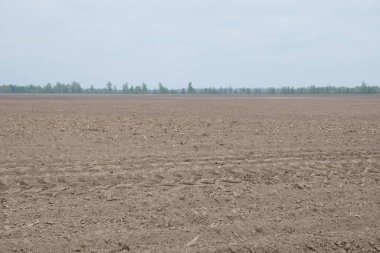 Tarlaya sürülmüş bir tarlanın üzerindeki güzel gökyüzü. Tarım endüstrisi manzarası. Tarlaya sürülmüş bir çiftlik. Gündüz ekili toprak.