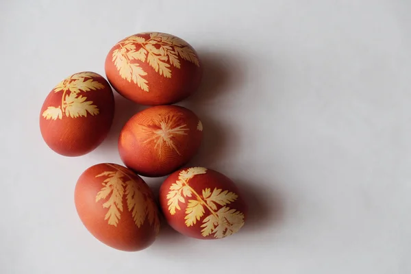 Раскрашенные Пасхальные Яйца Белом Фоне Цветочный Узор Красной Яичной Скорлупе — стоковое фото