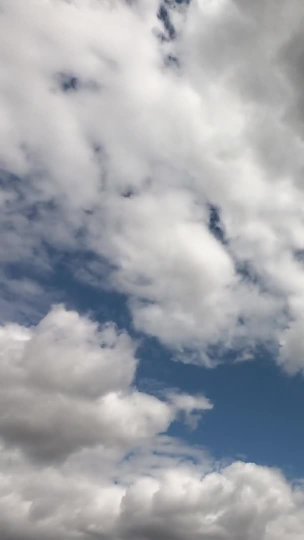 青い夏の空には大きな積雲 タイムラプスだ 雲の多い空を背景に 垂直ビデオ — ストック動画