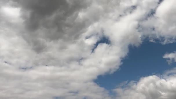 青い夏の空には大きな積雲 タイムラプスだ 雲の多い空を背景に — ストック動画