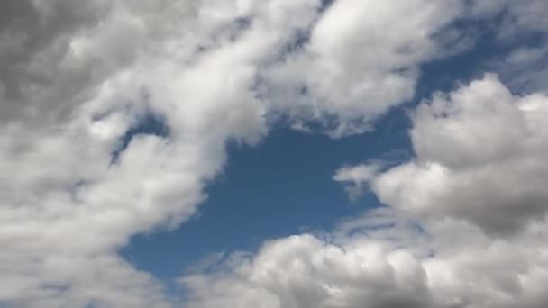 Stora Cumulusmoln Den Blå Sommarhimlen Timelapse Molnig Himmel Som Bakgrund — Stockvideo