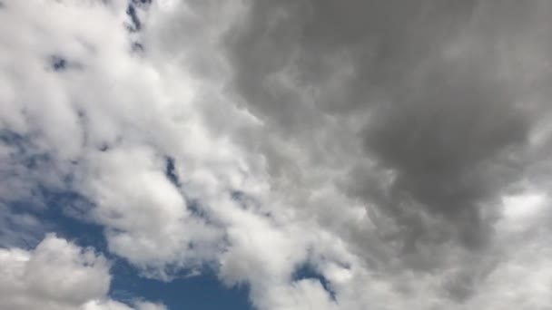 青い夏の空には大きな積雲 タイムラプスだ 雲の多い空を背景に — ストック動画