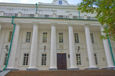 Nizhyn, Ukrayna, 20 Ekim 2020. Nikolai Gogol Nizhyn Devlet Üniversitesi - Ukrayna 'nın Chernihiv bölgesindeki Nizhyn şehrindeki yüksek eğitim kurumu. Eski üniversite binasının ön cephesinde bir sütunla.