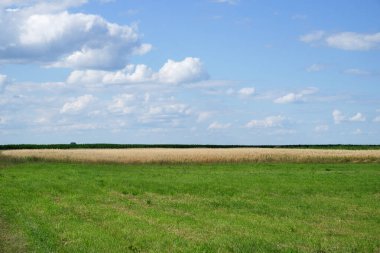 Tarım arazilerinin üzerinde kabarık beyaz bulutlar. Tarım arazisi.