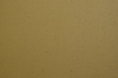 Çamurla kaplı su yüzeyi. Bulutlu kahverengi çamur. Geçmişi. Bataklık suyu..