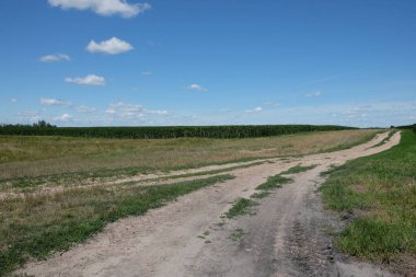 Mavi gökyüzünün altındaki bir tarlada uzun toprak yol. Manzara.