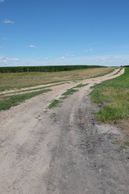 Mavi gökyüzünün altındaki bir tarlada uzun toprak yol. Manzara.