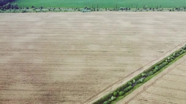 Farm Land Top View Fields Ripe Barley Oats Bird Eye — Stock Video