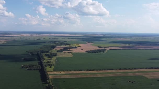 Hermoso Paisaje Agrícola Campo Abierto Con Cielo Azul Nubes Blancas — Vídeo de stock