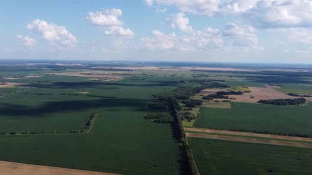 Hermoso Paisaje Agrícola Campo Abierto Con Cielo Azul Nubes Blancas — Vídeo de stock