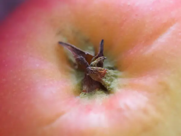 Ripe Pink Apple Close Fragment Fruit Macro Photo — Stock Photo, Image