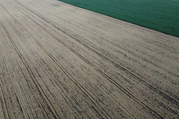 Campos Agrícolas Partir Vista Pássaro Paisagem Agrícola — Fotografia de Stock