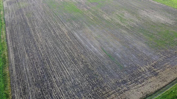 Ein Durch Schlechtes Wetter Beschädigtes Landwirtschaftliches Feld Luftaufnahme Landschaft — Stockfoto