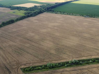 Eski bir sulama kanalı buğday tarlası ve hava manzarası arasında ağaçlarla kaplı. Arazide kuru sulama kanalı, manzara..