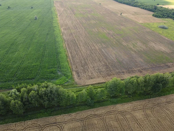 Cinto Florestal Separa Vários Campos Agrícolas Vista Superior Paisagem Agrária — Fotografia de Stock