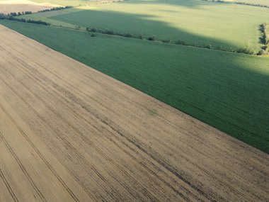 Tarım alanları, en iyi manzara. Tarlalar, kuş bakışı manzara..