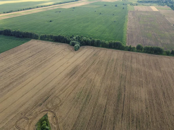 Landwirtschaftliche Felder Draufsicht Bewirtschaftete Felder Blick Aus Der Vogelperspektive Auf — Stockfoto