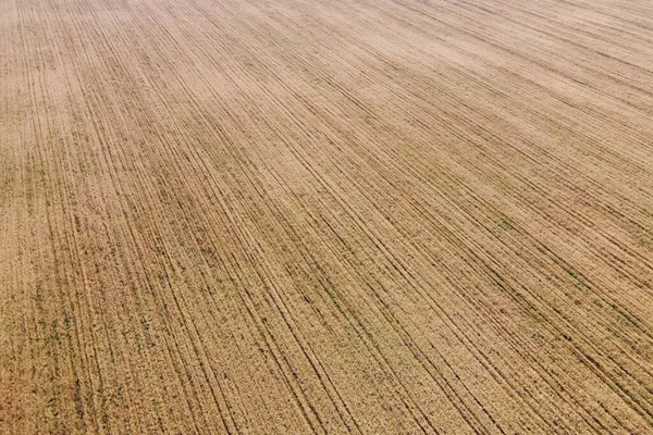 Fågelperspektiv Ett Fält Mogen Spannmål Landskap Inom Jordbruket — Stockfoto