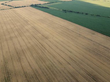 Tarım alanları, en iyi manzara. Tarlalar, kuş bakışı manzara..