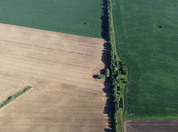 Une Ceinture Forestière Sépare Plusieurs Champs Agricoles Vue Dessus Paysage — Photo