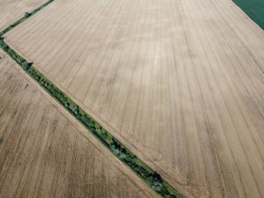 Eski bir sulama kanalı buğday tarlası ve hava manzarası arasında ağaçlarla kaplı. Arazide kuru sulama kanalı, manzara..