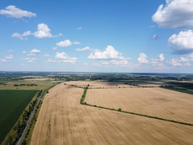 Yazın bir tarlada olgun tahıllar, en iyi manzara. Açık mavi gökyüzü tarlaların üzerinde, kuş bakışı manzara.