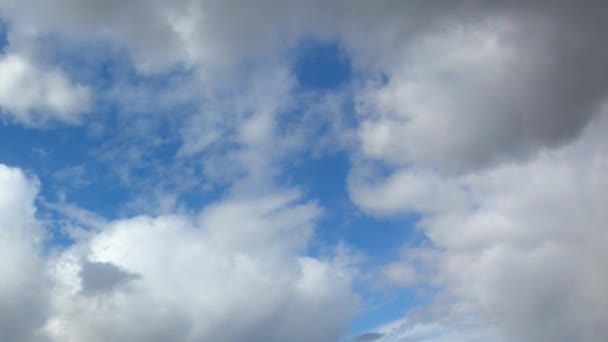 Nubes Densas Cúmulos Contra Cielo Azul Claro Buen Tiempo Lapso — Vídeos de Stock