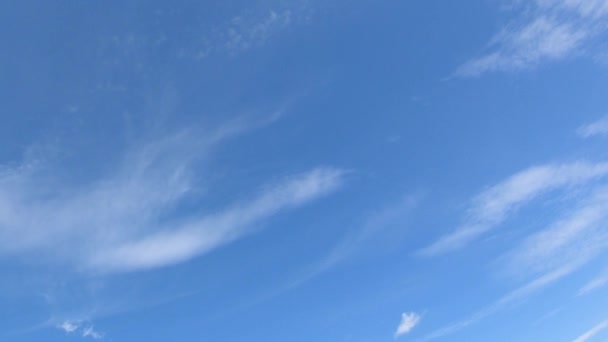 Nuvens Cirro Finas Céu Azul Lapso Tempo Nublado Céu Vídeo — Vídeo de Stock
