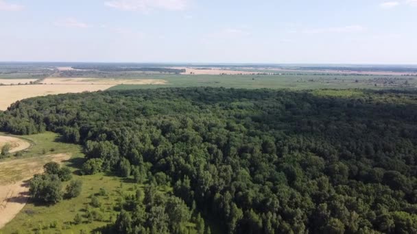 夏日阳光明媚的欧洲落叶森林 鸟瞰景观的景观 — 图库视频影像