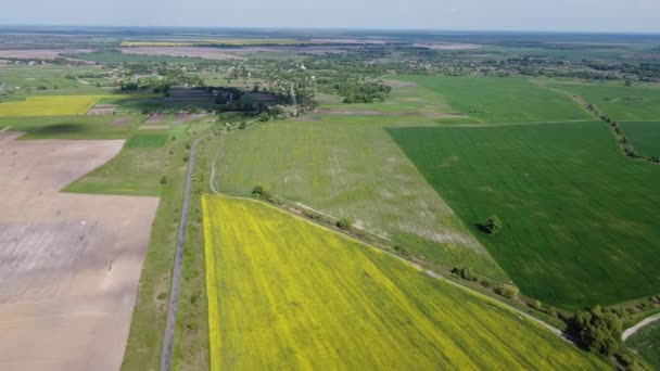 Boerderijvelden Buurt Van Een Klein Dorp Uitzicht Lucht Landschap — Stockvideo