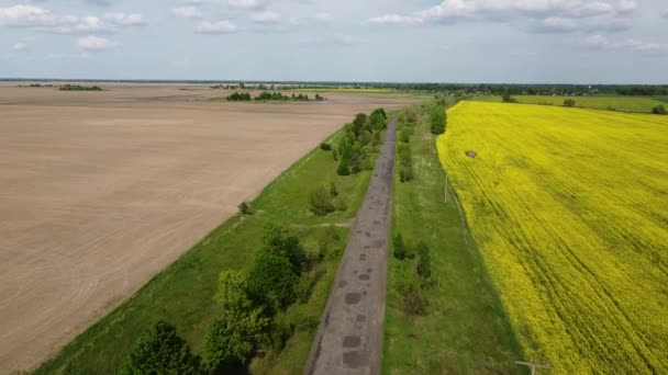 Old Rebuilt Road Two Farm Fields Aerial View Landscape — Stock Video