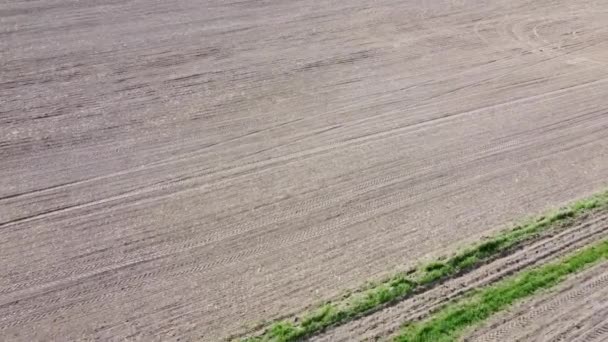 Gecultiveerd Landbouwveld Achtergrond Vlucht Een Geploegd Stuk Land — Stockvideo