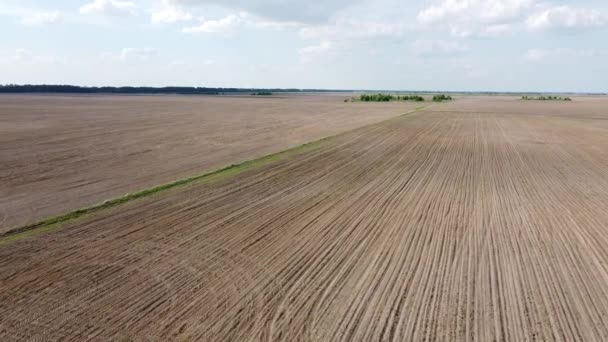 耕作された農地 広大な農地の航空ビュー 風景です — ストック動画