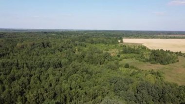 Güneşli bir yaz gününde yaprak döken Avrupa ormanları. Kuş bakışı manzara..