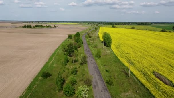 Viejo Camino Reconstruido Entre Dos Campos Agrícolas Vista Aérea Paisaje — Vídeo de stock