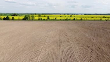 Tarlaların üzerinden uç. Tarlada sürülen tarlaların yakınındaki sarı kolza tohumu tarlası. Manzara, üst görünüm.