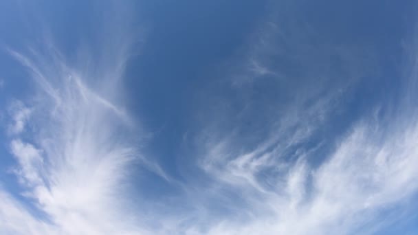 Dunne Cirrus Wolken Aan Blauwe Hemel Time Lapse Bewolkte Hemel — Stockvideo