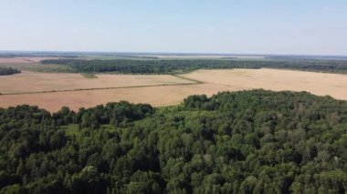 Güneşli bir yaz gününde yeşil yaprak döken ormanın üzerinden uçmak, manzara. Ormanın yakınındaki tarım arazisi..