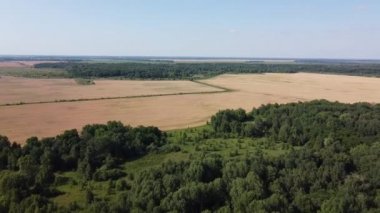 Güneşli bir yaz gününde yeşil yaprak döken ormanın üzerinden uçmak, manzara. Ormanın yakınındaki tarım arazisi..