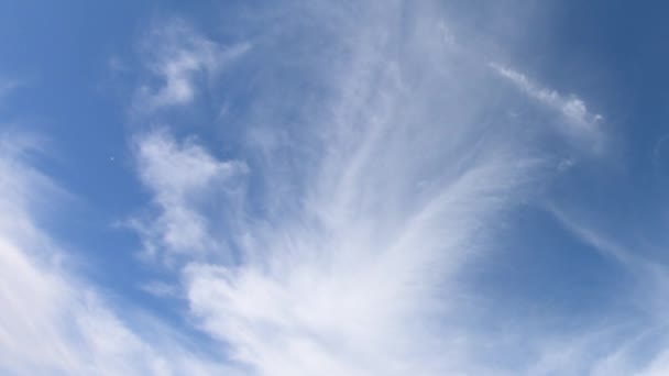 Dunne Cirrus Wolken Aan Blauwe Hemel Time Lapse Bewolkte Hemel — Stockvideo