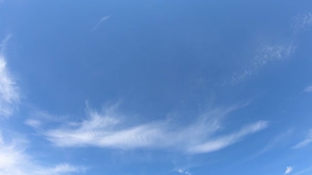 Nubes Cirros Delgadas Cielo Azul Lapso Tiempo Nublado Cielo Vídeo — Vídeos de Stock